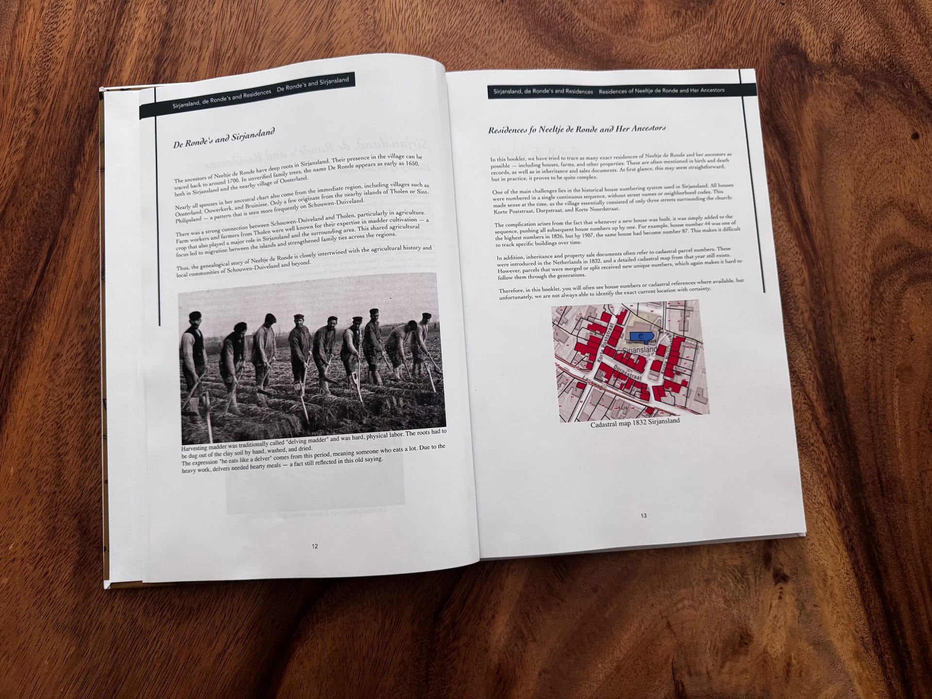 Each Dutch family heritage book is crafted with care and precision. It’s far more than a list of names and dates – it’s a tangible story of your ancestry